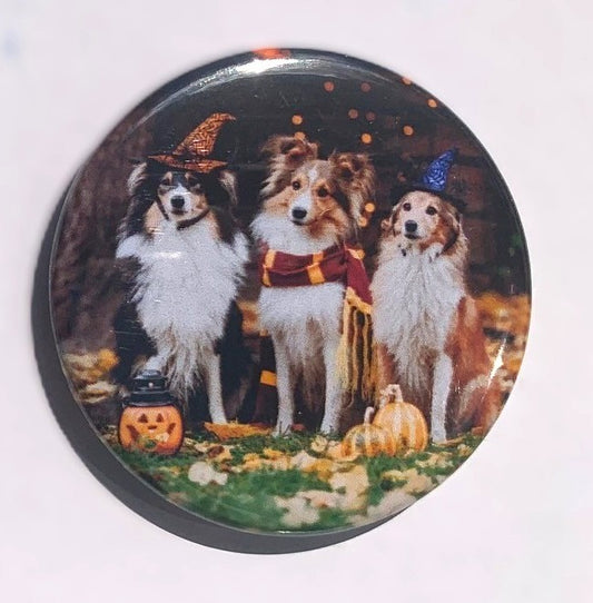 Photo Magnet - One 2X2 magnet